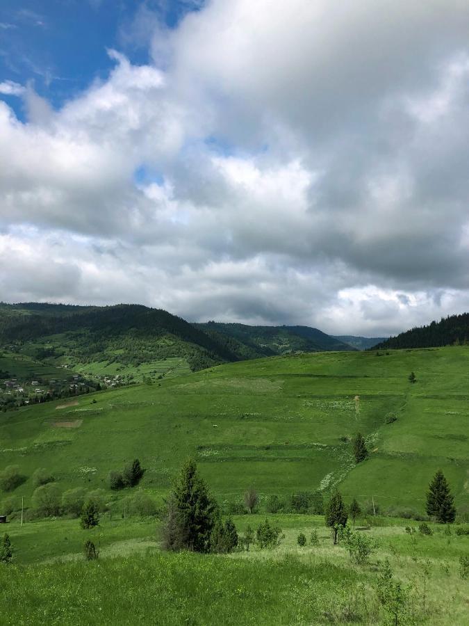 Галерея Карпат Plave Bagian luar foto