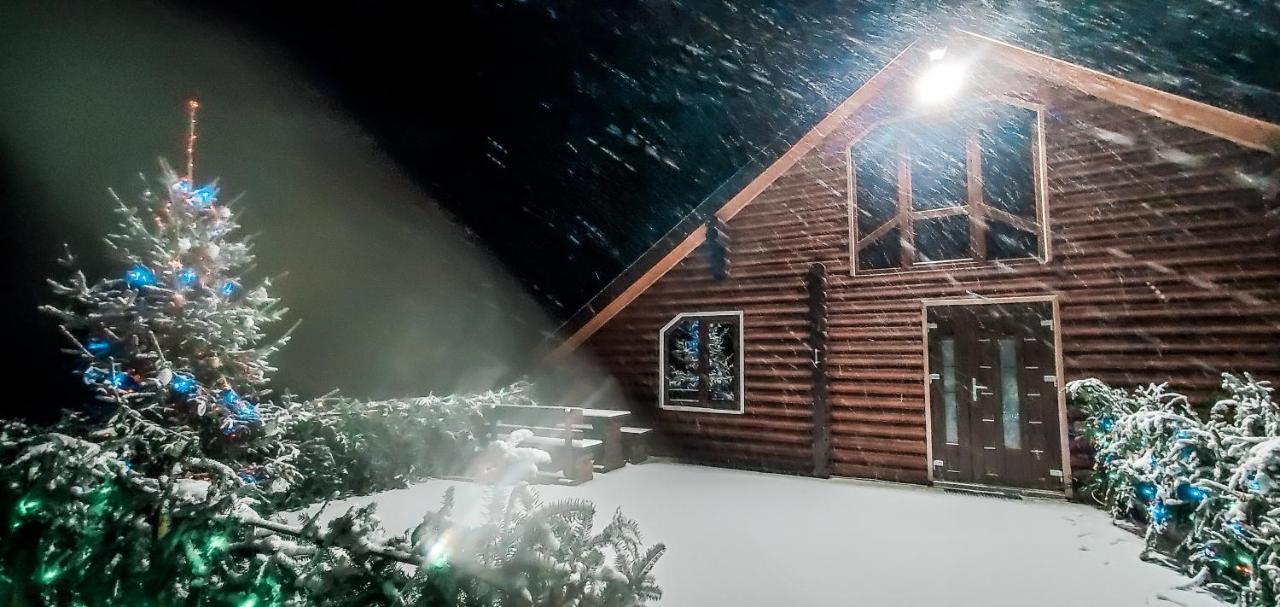 Галерея Карпат Plave Bagian luar foto